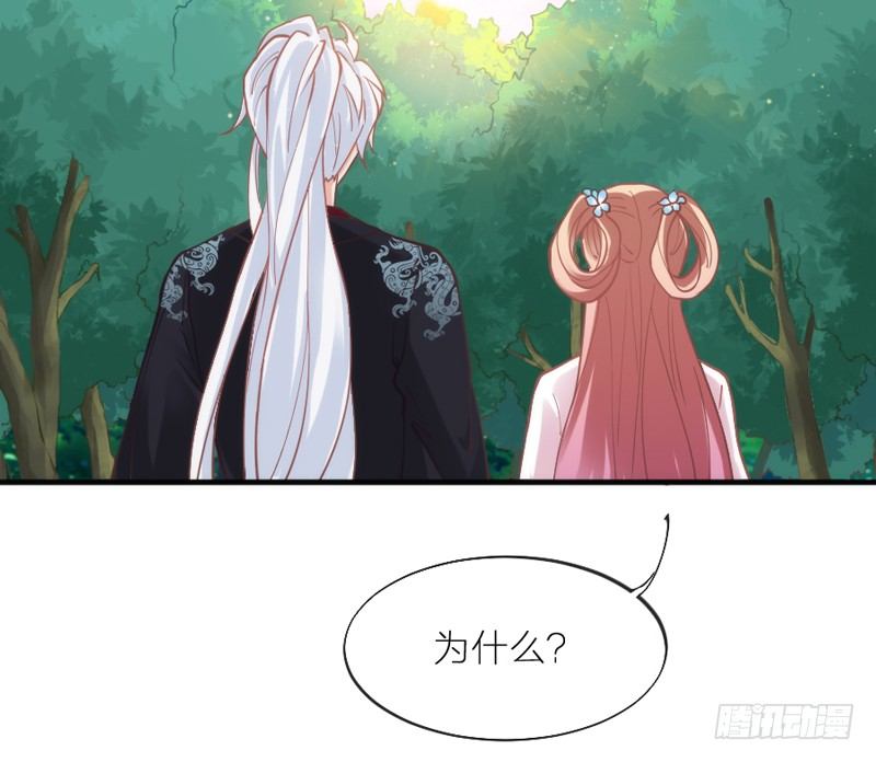 《抱紧我的小白龙》也许在梦里我好像见过你 第50页