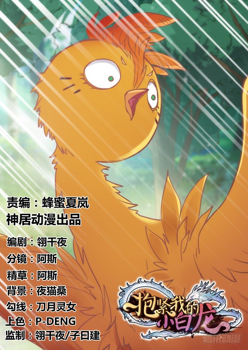 《抱紧我的小白龙》我心悦你，不知姑娘可愿？ 第1页