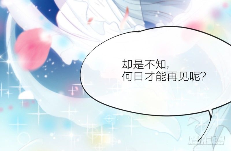 《抱紧我的小白龙》念君千里，心心相惜，何处不相逢？ 第46页