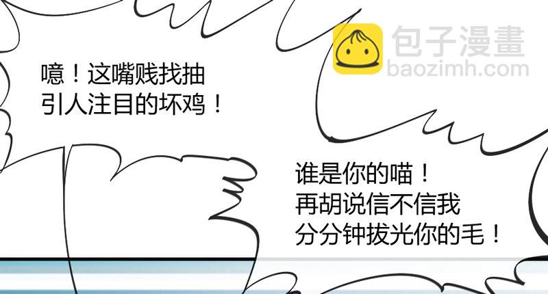 《抱紧我的小白龙》这可是我的喵！ 第11页