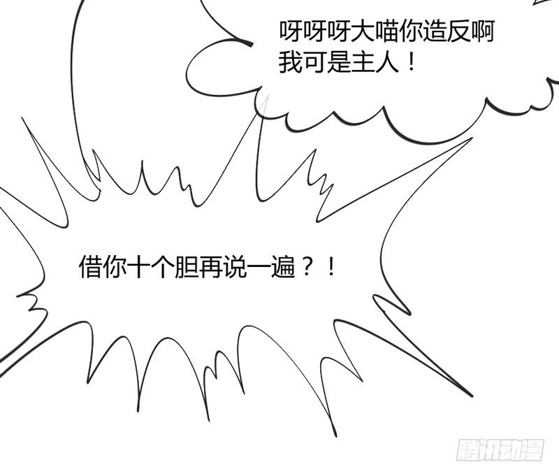 《抱紧我的小白龙》这可是我的喵！ 第13页