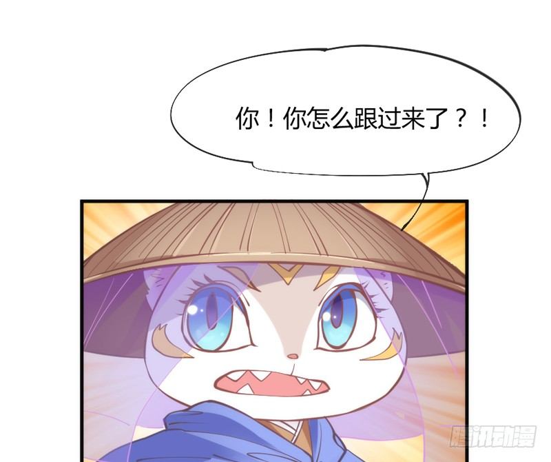 《抱紧我的小白龙》这可是我的喵！ 第2页