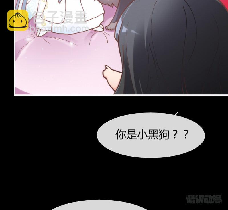 《抱紧我的小白龙》番外发糖中元夜梦 第41页