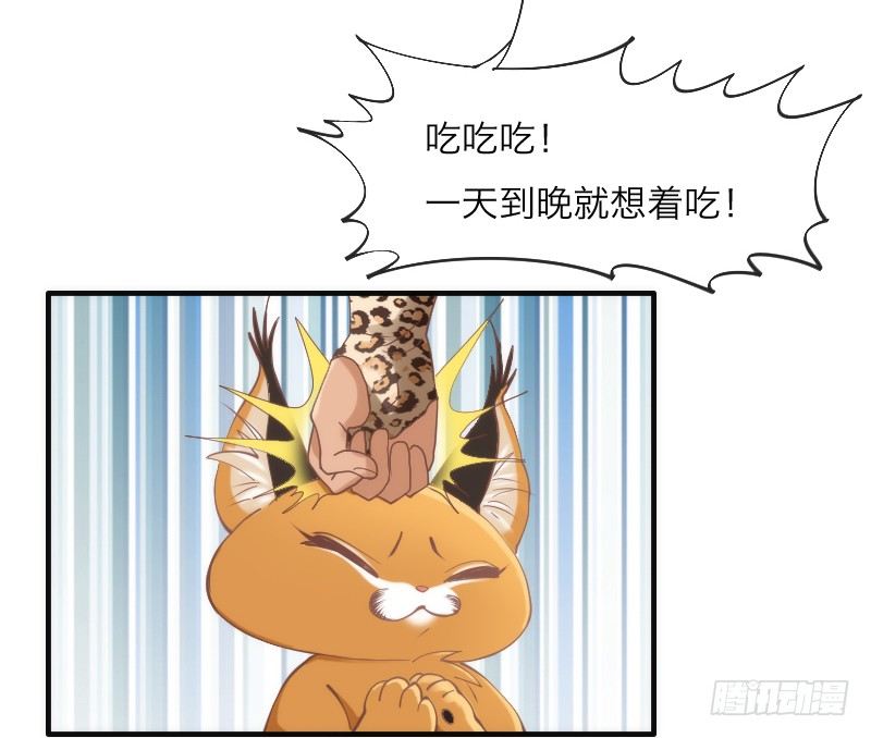 《抱紧我的小白龙》你哭着求我，我也不会把她还给你！ 第12页