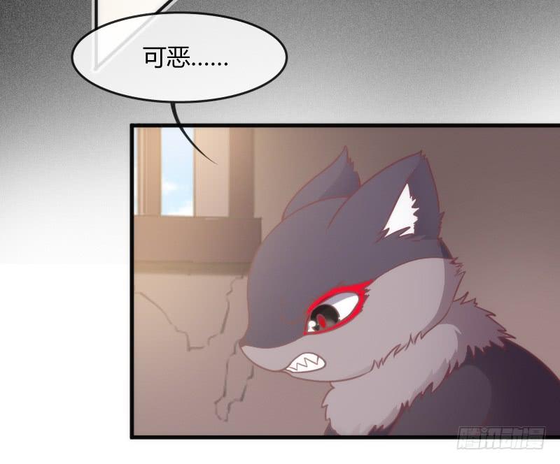 《抱紧我的小白龙》为何我的心，会如此之痛？ 第42页