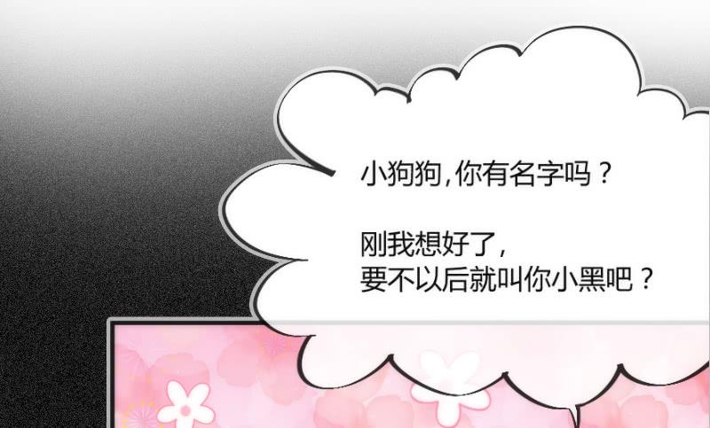 《抱紧我的小白龙》为何我的心，会如此之痛？ 第48页