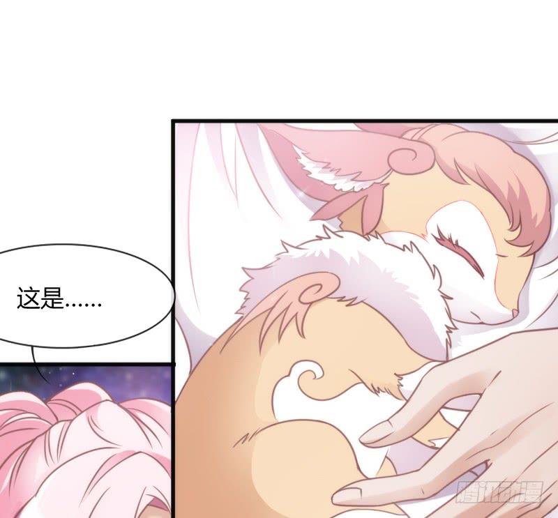 《抱紧我的小白龙》舍身为你，我甘之如饴 第43页