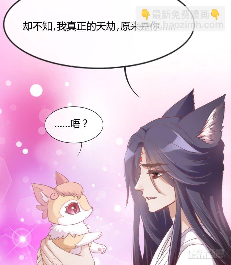 《抱紧我的小白龙》舍身为你，我甘之如饴 第47页