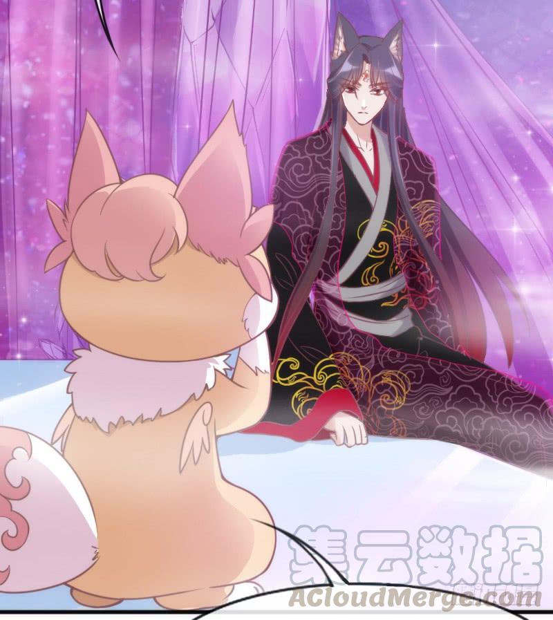 《抱紧我的小白龙》黑白交锋，视线激烈碰撞！ 第11页