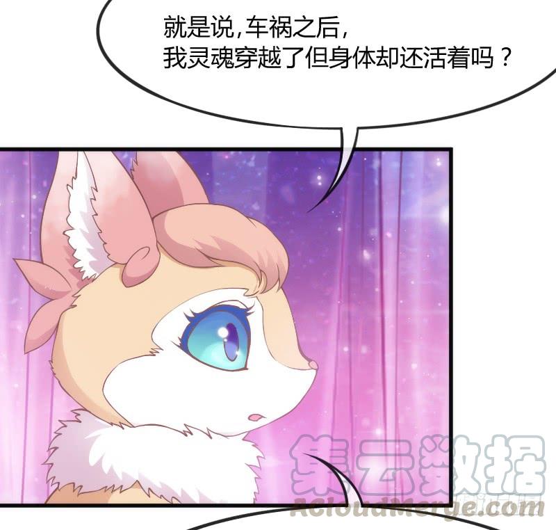 《抱紧我的小白龙》黑白交锋，视线激烈碰撞！ 第21页