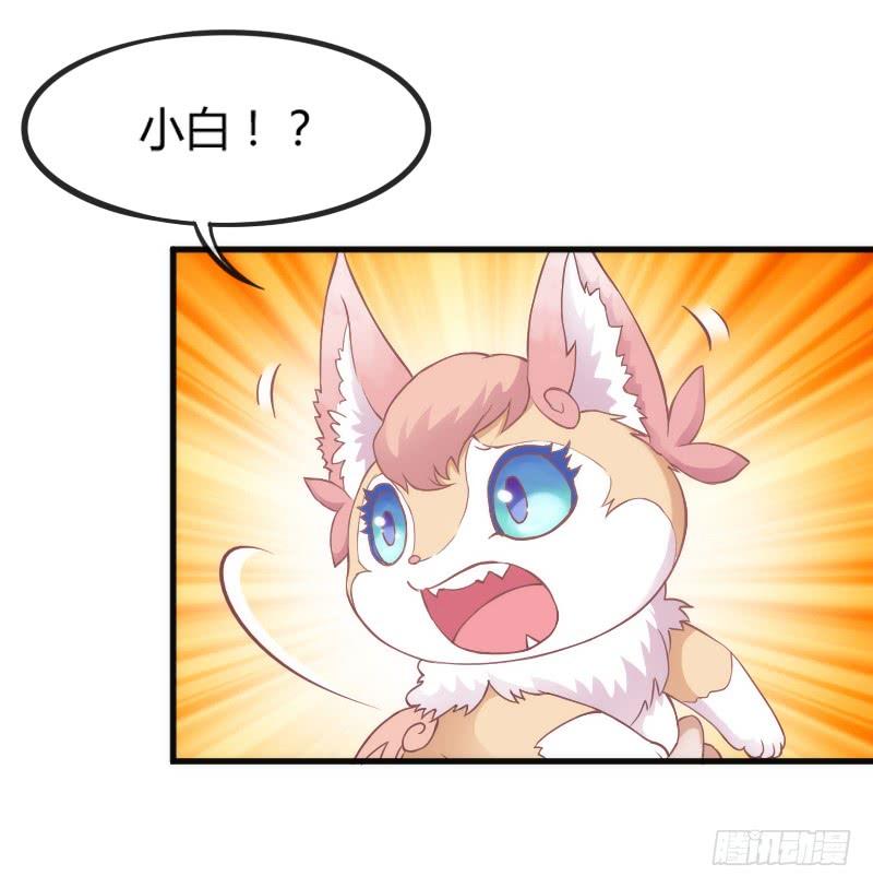 《抱紧我的小白龙》黑白交锋，视线激烈碰撞！ 第40页