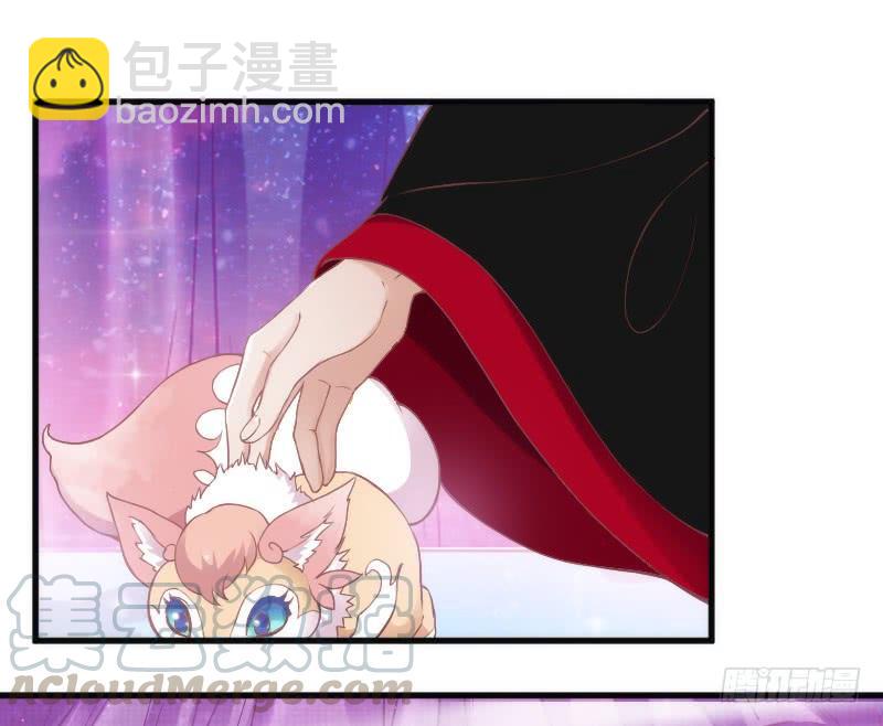 《抱紧我的小白龙》黑白交锋，视线激烈碰撞！ 第41页