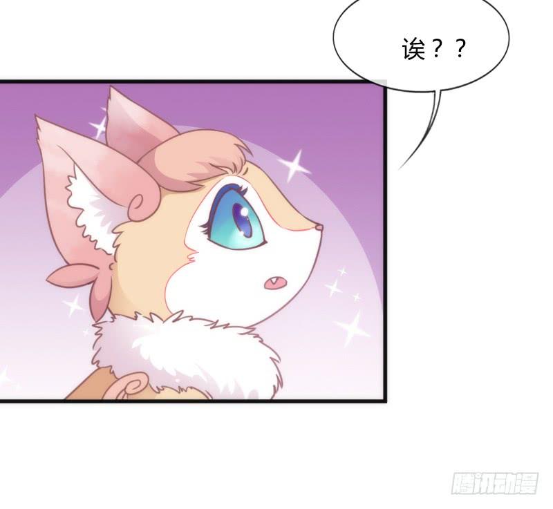 《抱紧我的小白龙》小可爱，何必如此激动呢？ 第13页