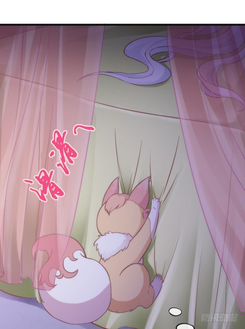 《抱紧我的小白龙》我的白！你听我解释啊啊！！ 第29页