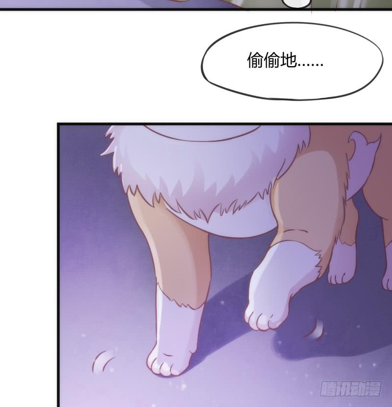 《抱紧我的小白龙》我的白！你听我解释啊啊！！ 第30页