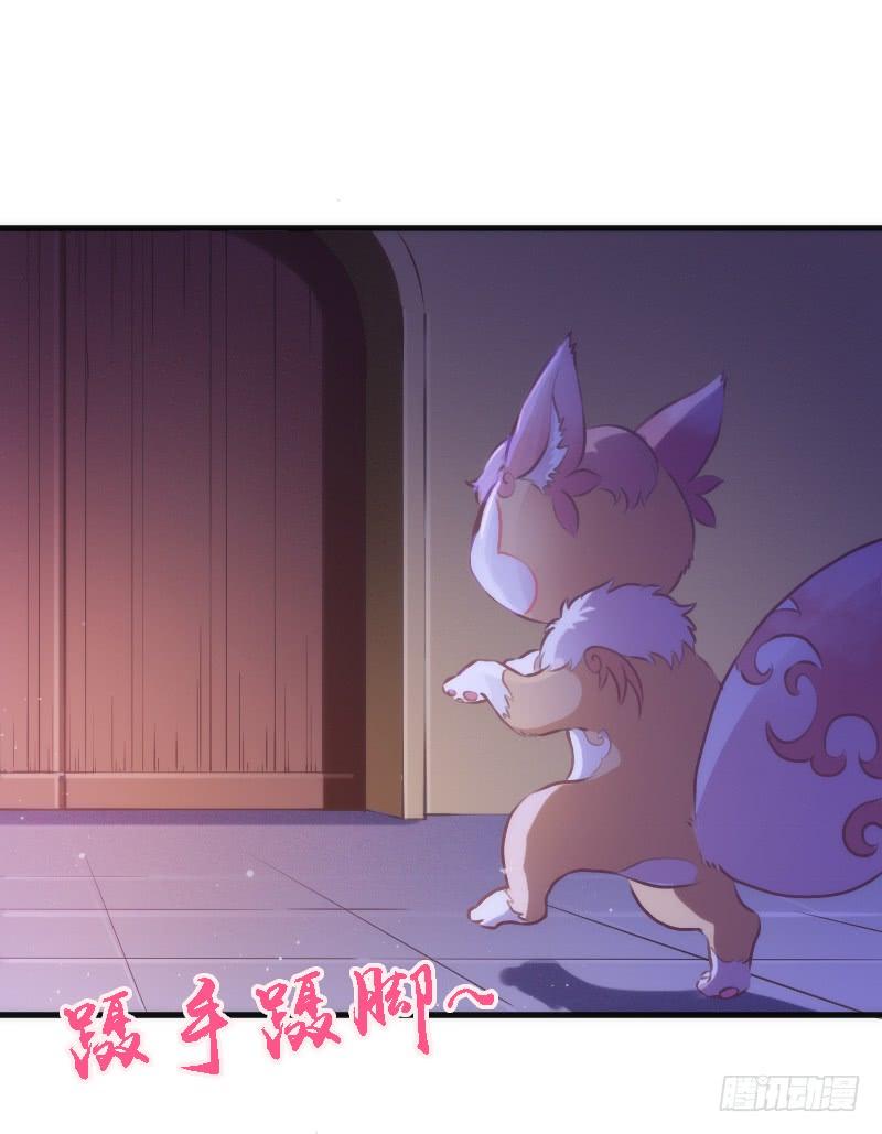《抱紧我的小白龙》我的白！你听我解释啊啊！！ 第35页