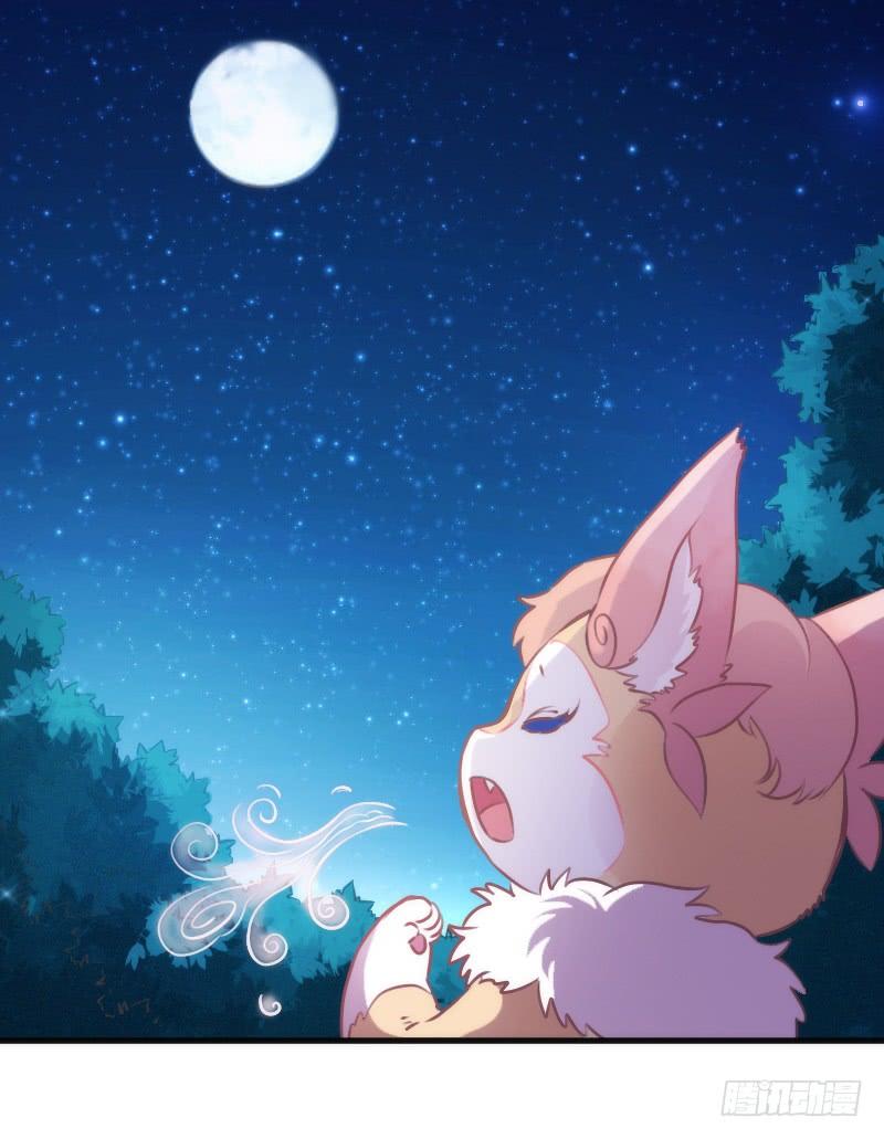 《抱紧我的小白龙》我的白！你听我解释啊啊！！ 第42页