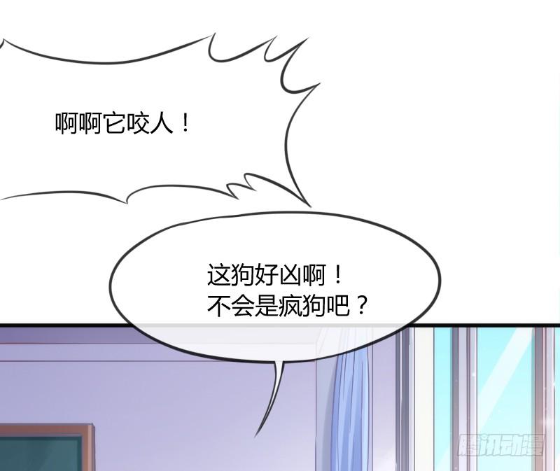 《抱紧我的小白龙》有狐绥绥在彼…小黑哥你够！ 第13页