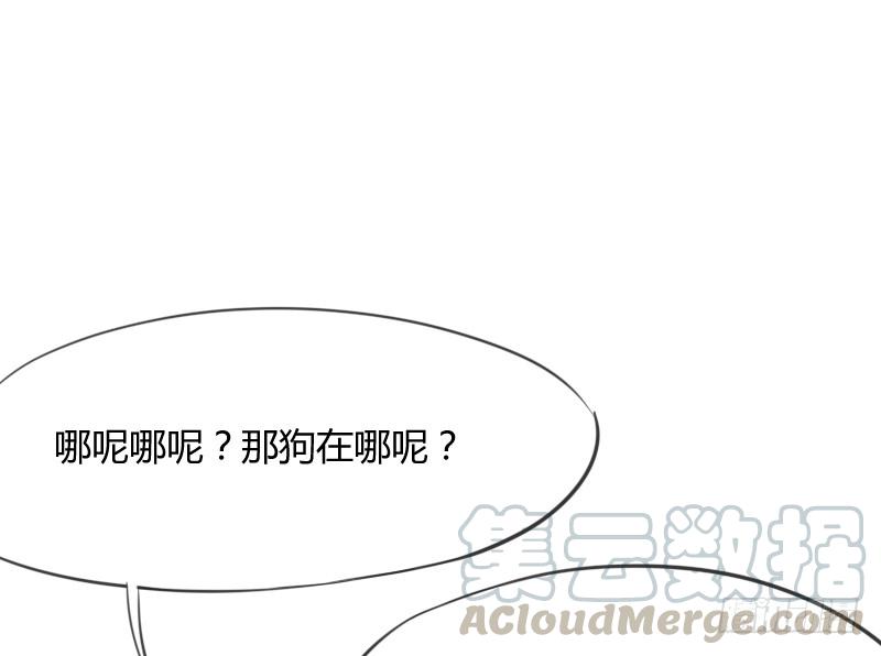 《抱紧我的小白龙》有狐绥绥在彼…小黑哥你够！ 第31页