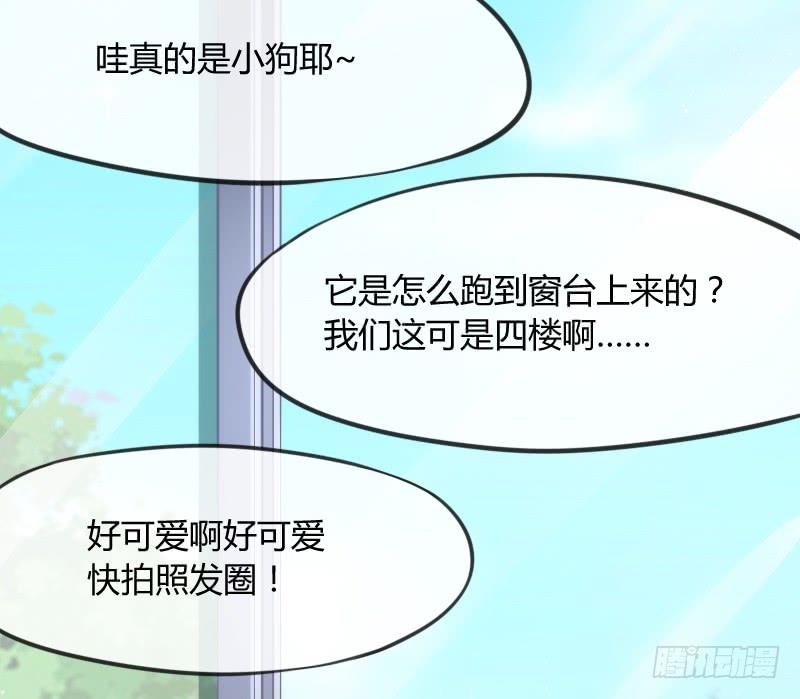 《抱紧我的小白龙》有狐绥绥在彼…小黑哥你够！ 第6页