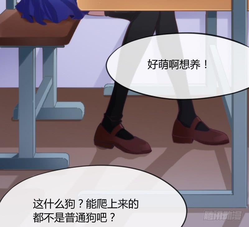 《抱紧我的小白龙》有狐绥绥在彼…小黑哥你够！ 第8页