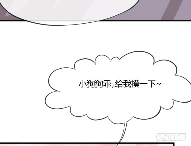 《抱紧我的小白龙》有狐绥绥在彼…小黑哥你够！ 第9页