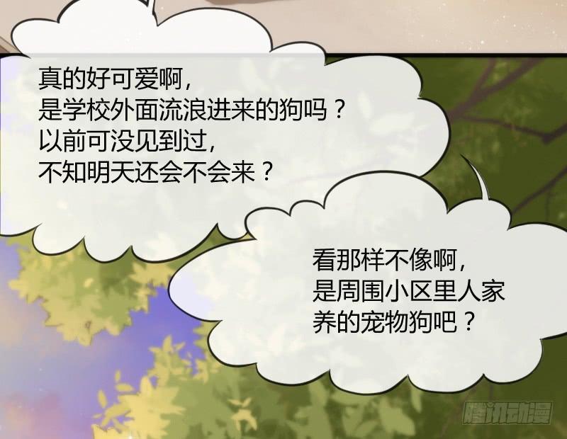 《抱紧我的小白龙》脑洞飞扬不可抗拒的爱！ 第5页