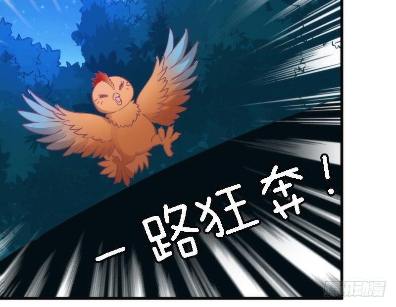《抱紧我的小白龙》你温柔像天空，像海洋 第47页