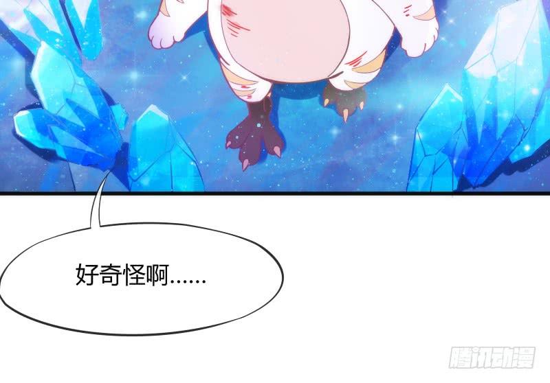 《抱紧我的小白龙》冰雪无暇的你遇见纯真的心 第13页