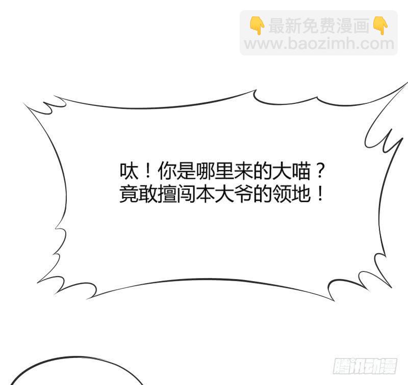 《抱紧我的小白龙》冰雪无暇的你遇见纯真的心 第34页