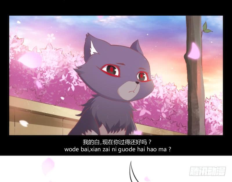 《抱紧我的小白龙》幸福，就是你对我笑的样子 第33页