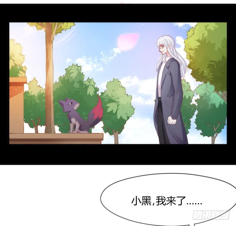 《抱紧我的小白龙》幸福，就是你对我笑的样子 第35页
