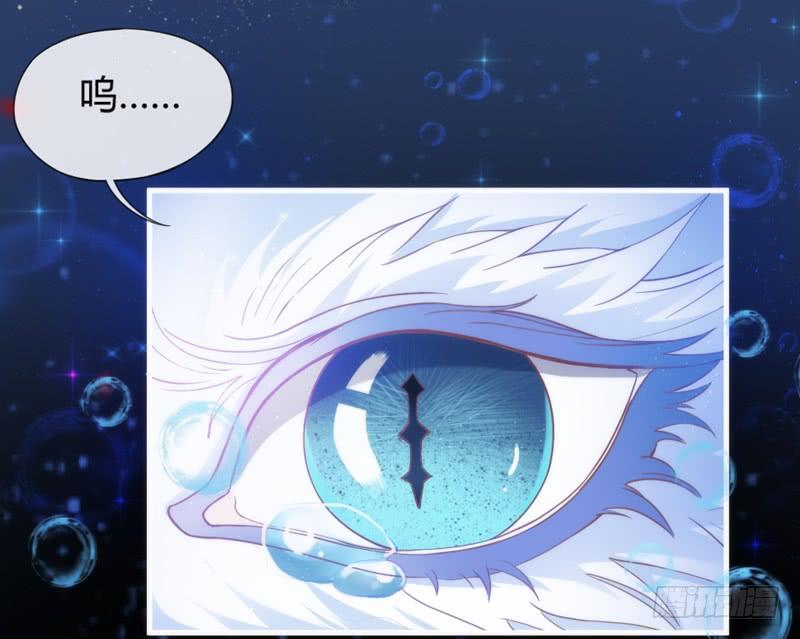 《抱紧我的小白龙》天长地久有时尽，此恨绵绵无绝期！ 第7页