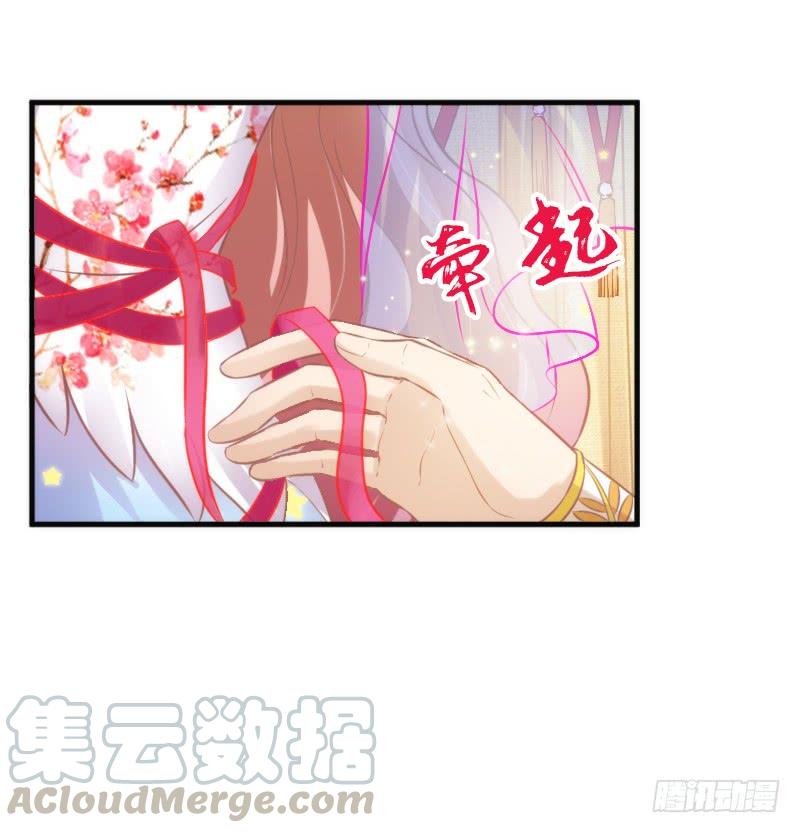《抱紧我的小白龙》我只要你嫁给我爱上我！ 第11页
