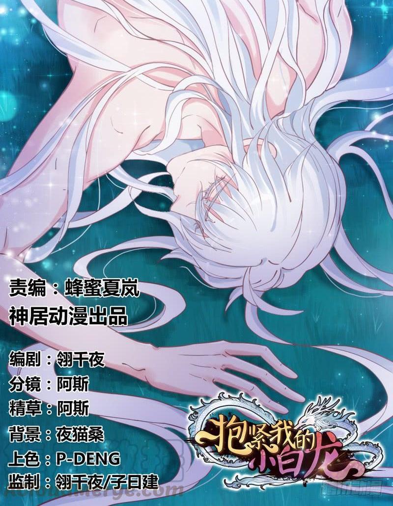 《抱紧我的小白龙》我只要你嫁给我爱上我！ 第1页