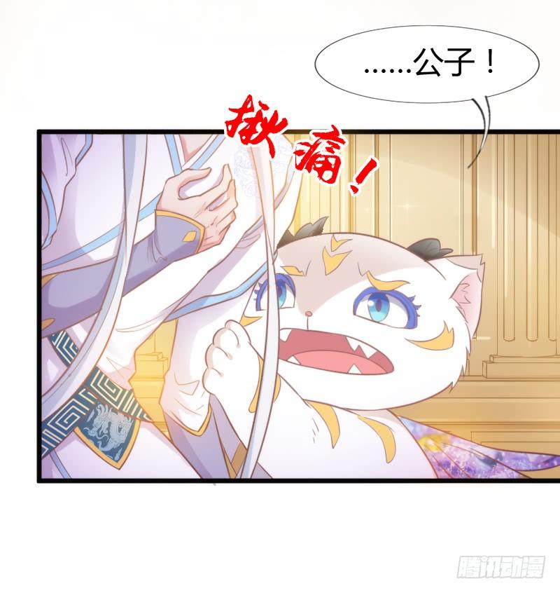 《抱紧我的小白龙》预报上演！三只美男修罗场 第28页