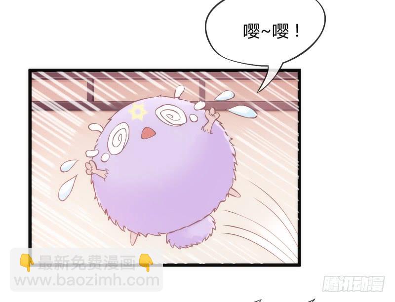 《抱紧我的小白龙》不管你去哪，我都会陪着你 第15页