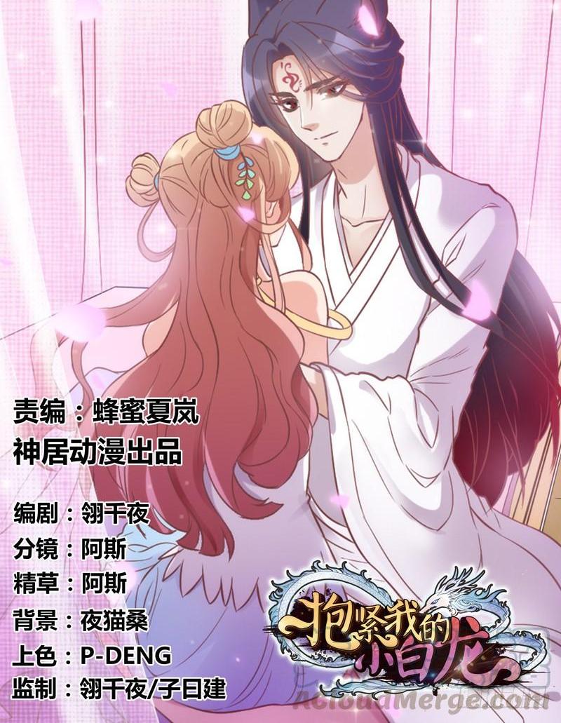 《抱紧我的小白龙》执子之手与我共赴幻梦之约 第1页