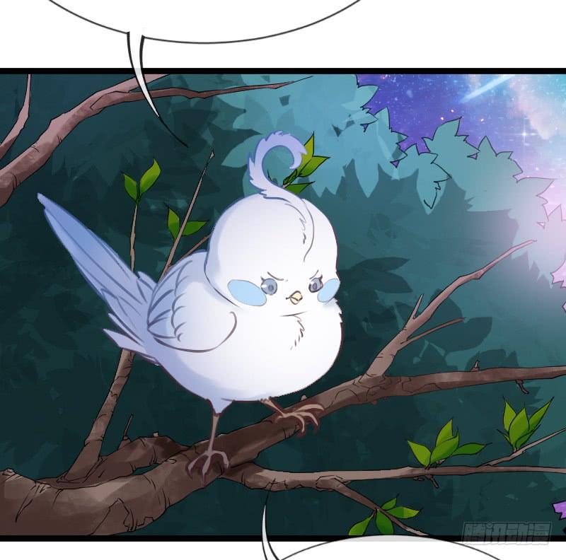 《抱紧我的小白龙》女主啊喜欢你就亲亲他！ 第39页