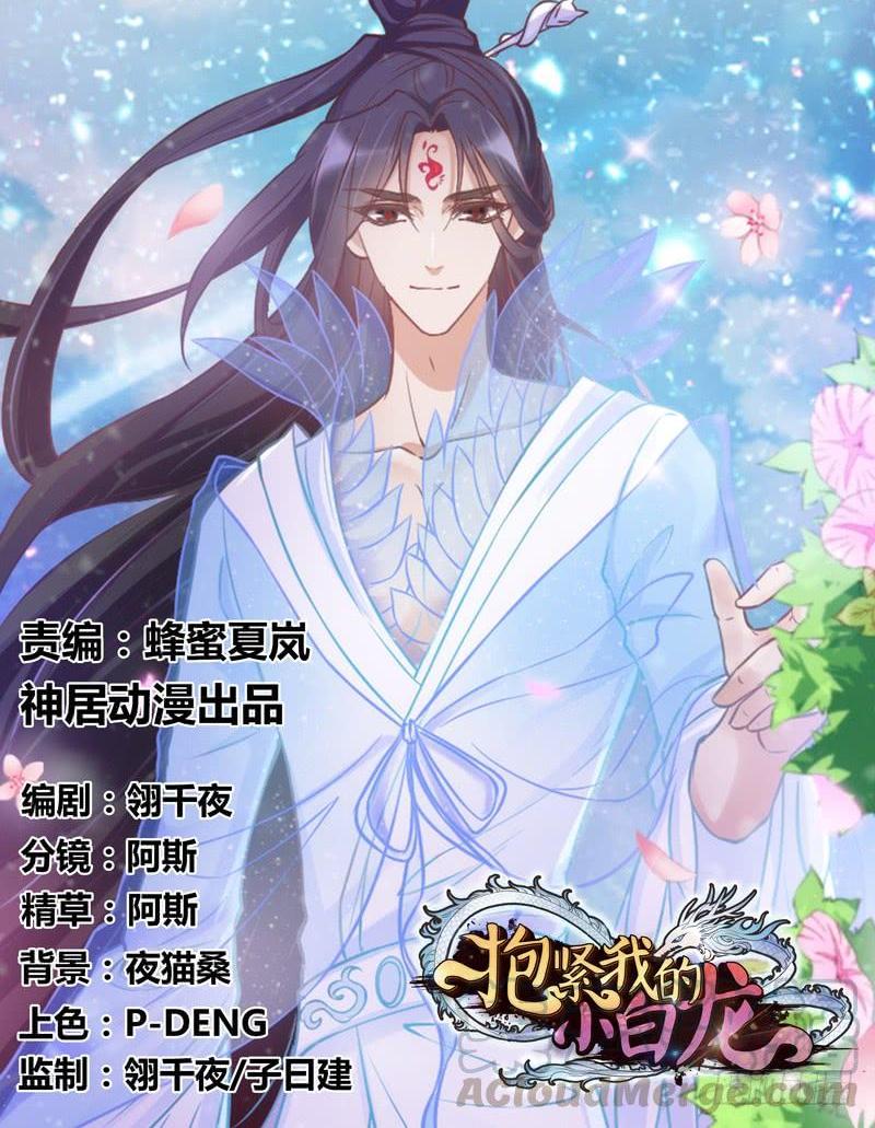 《抱紧我的小白龙》人鱼公主的甜蜜抉择！ 第1页