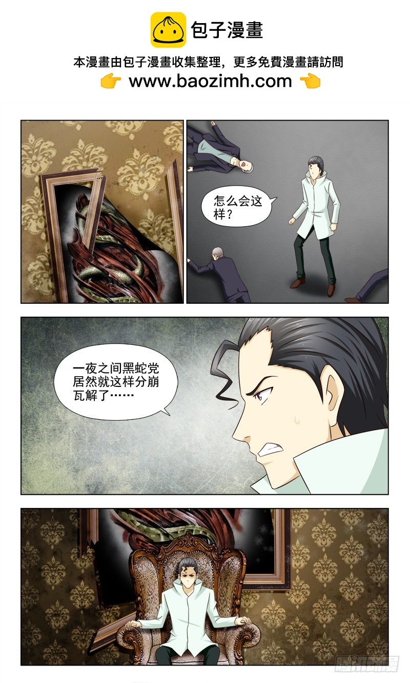 《最强邪少》268 大结局 第4页
