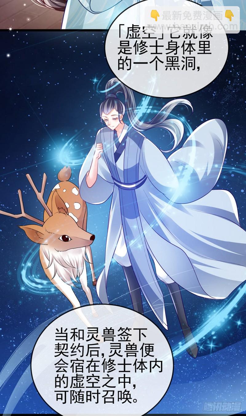 《军火女凰（凤临天下）》第36话 目标十阶天灵尊 第5页
