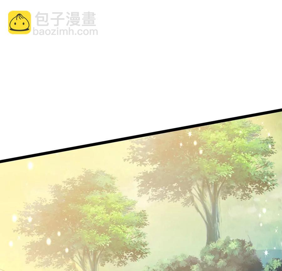 《军火女凰（凤临天下）》第61话 柳沉雁的陷阱 第12页