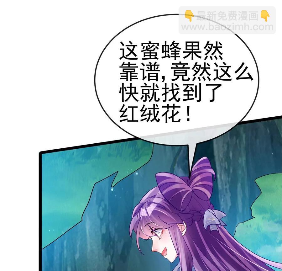 《军火女凰（凤临天下）》第61话 柳沉雁的陷阱 第22页