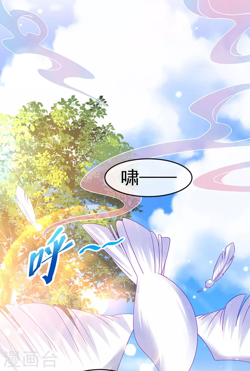《军火女凰（凤临天下）》第142话 最强后援团&我要复仇 第3页
