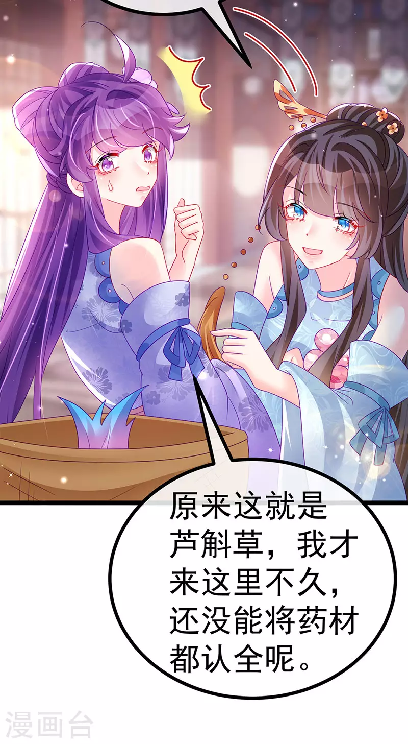《军火女凰（凤临天下）》第146话 臭宝心里有我 第30页
