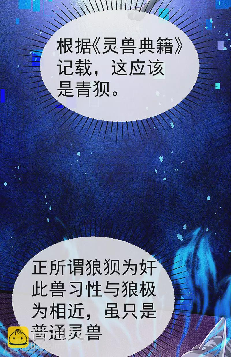 《军火女凰（凤临天下）》第150话 新宠青狈&围攻 第30页
