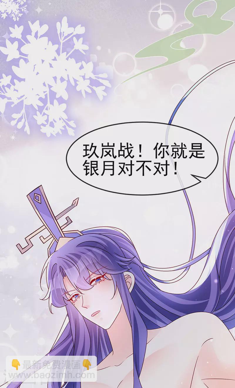 《军火女凰（凤临天下）》第197话 玖岚站就是银月啊 第28页