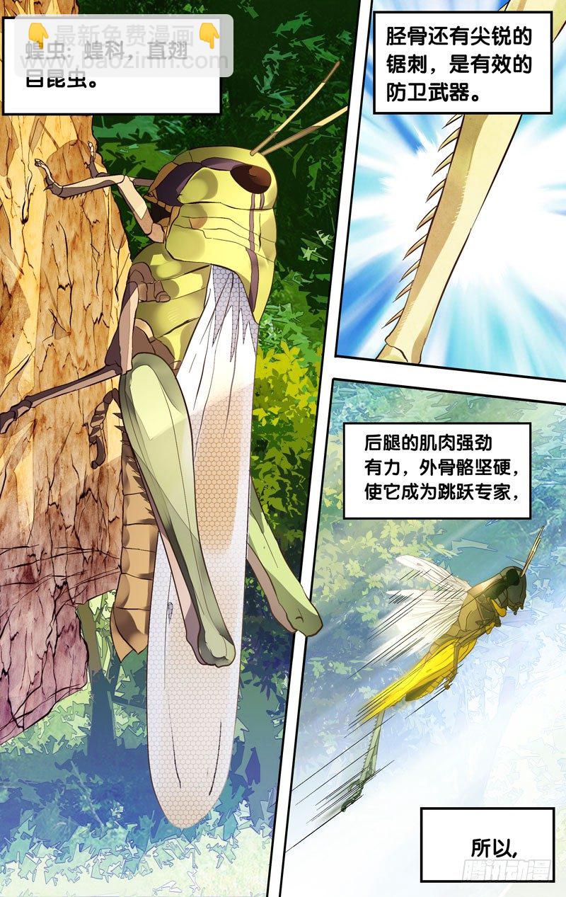 《虫生（开局觉醒跳蚤血脉）》3.蝗 第2页