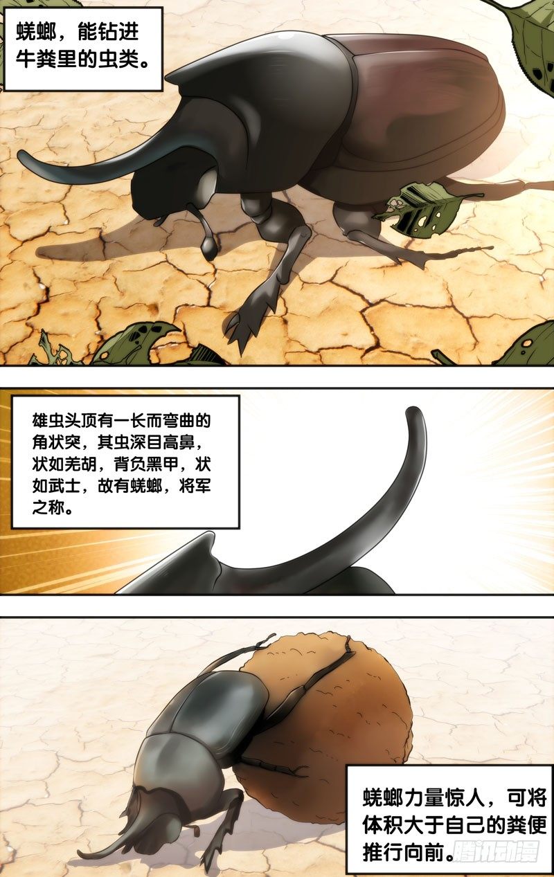 《虫生（开局觉醒跳蚤血脉）》12.蜣螂 第1页